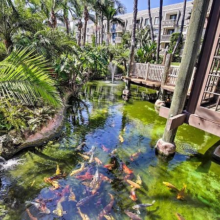 Charming Oceanside Condo With Beach And Pool Access! 외부 사진